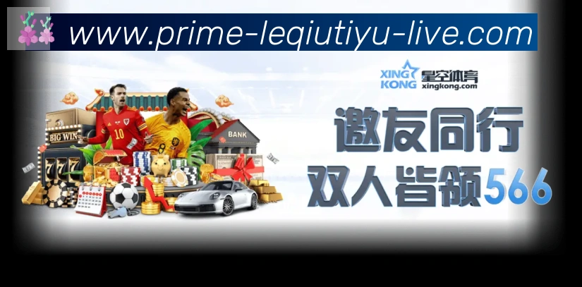 未来规划